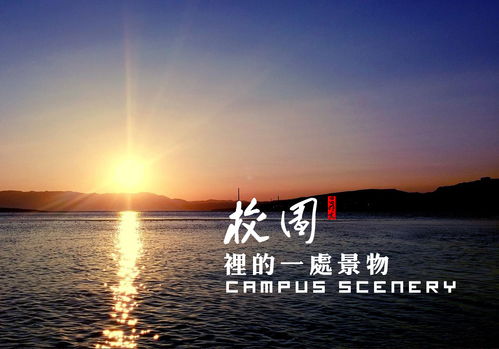校園景觀的作文400字作文400字作文