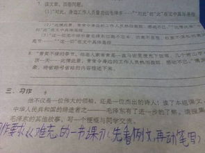 校園體育節(jié)感想作文
