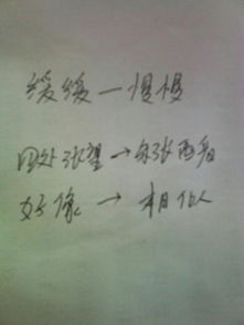 我們將離開校園作文600字