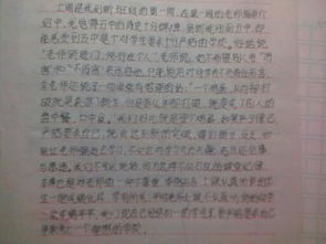 新校園的感覺真好作文