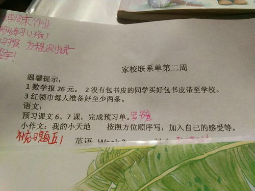 初二作文我的小天地200字,我的小天地作文200字左右,我的小天地作文200字說明文初二