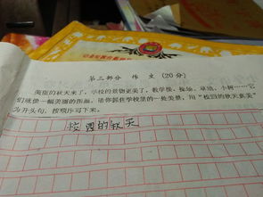 寫春天的校園一個地方作文
