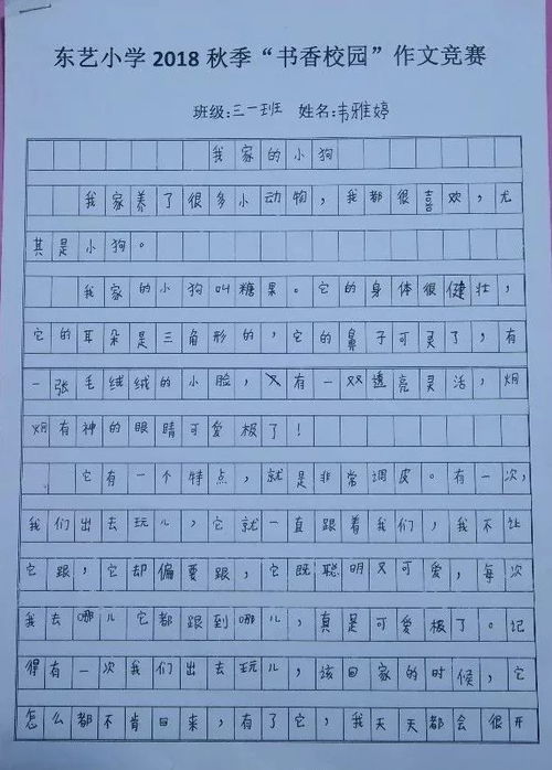 作文,四級,初中,校園