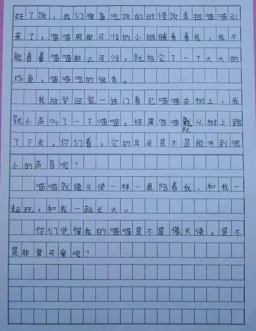 校園活動(dòng)比賽四級(jí)作文