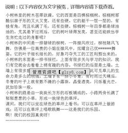 校園一角的作文按春夏秋冬來寫