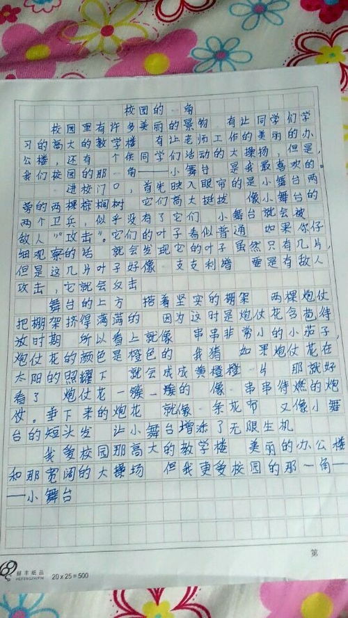 寫一寫夏天校園的美景作文600字作文