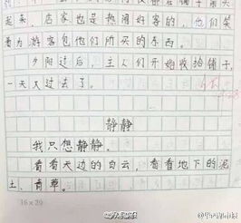 美麗的校園嘉興市實驗小學作文