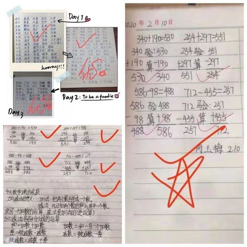 寫安陽第一實(shí)驗(yàn)小學(xué)校園的作文
