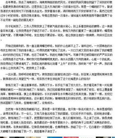 校園場作文500字作文
