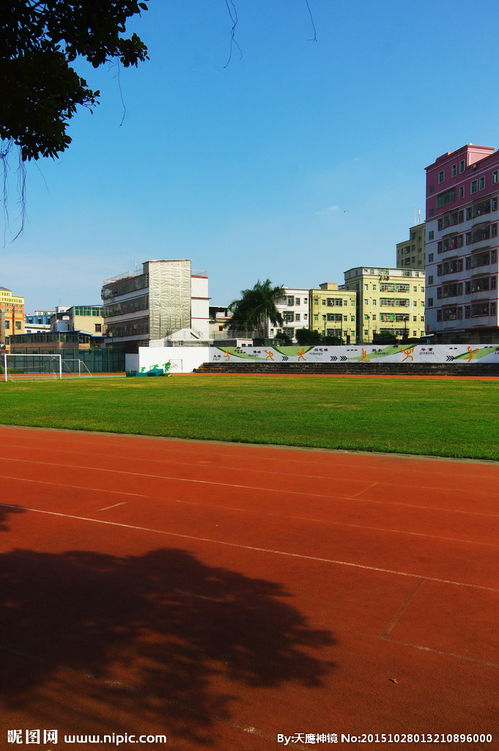 哈爾濱繼紅小學校園風景作文