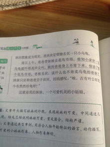 寫(xiě)一件我校園里事情300字作文三級(jí)作文