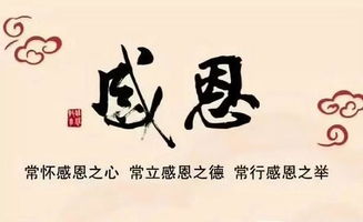 校園勵志標語演講稿800字,校園勵志演講稿600字,校園勵志演講稿300字左右
