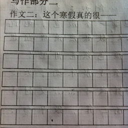 作文,校園