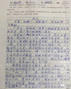 寫一篇龍山小學(xué)校園的作文300字