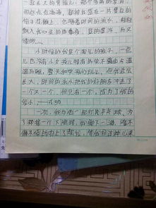 校園友情的滿分作文