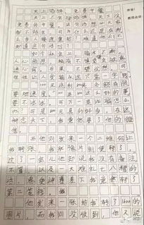 校園調(diào)查作文怎么寫
