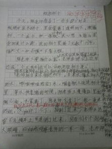 我們的校園三級(jí)作文300