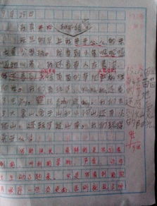 描寫實(shí)驗(yàn)小學(xué)校園作文