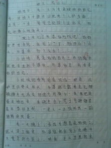 校園里的感動作文600初三