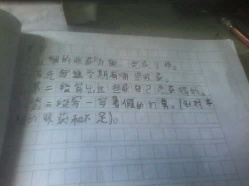 小學(xué)生,寫作文,校園