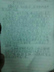 有關在校園發(fā)生的事的600字作文