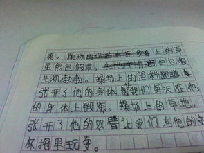 寫校園里果園的作文