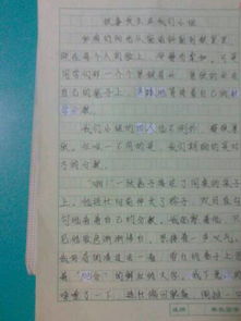 校園的回憶敘事作文,校園類敘事作文,校園敘事作文600字