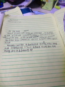 書香校園的英語作文帶翻譯100