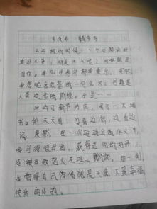校園啟示作文500字作文怎么寫
