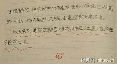 寫秋天的校園oo字的作文