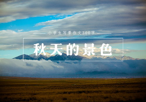 我的景色校園作文300字三級(jí)