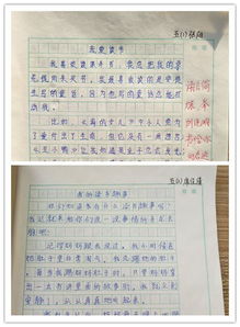 關于校園誠信作文