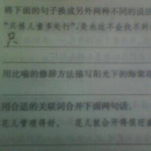 關于校園植樹的作文