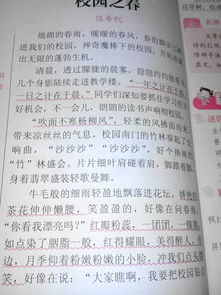 的校園是的樂園作文400字
