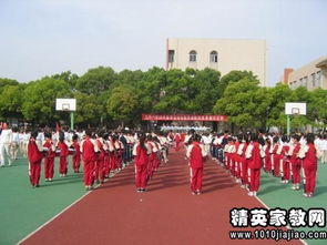 小學(xué)校園運(yùn)動(dòng)會(huì)作文600字,校園運(yùn)動(dòng)會(huì)作文300字三年級(jí),校園運(yùn)動(dòng)會(huì)作文300字左右