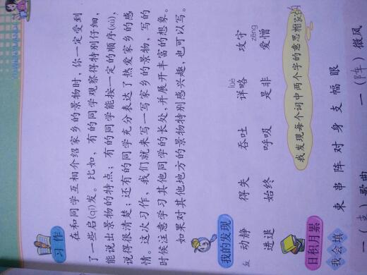 美麗景色校園作文300字三級(jí)作文