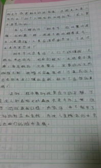 這個夏天我很快樂有關校園作文