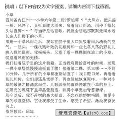 寫校園里的小草作文