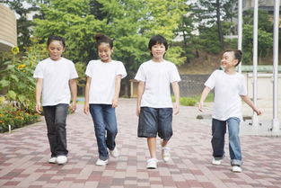 校園生活作文小學(xué)六年級(jí),快樂的校園生活六年級(jí)作文,校園生活作文400字小學(xué)六年級(jí)上冊(cè)