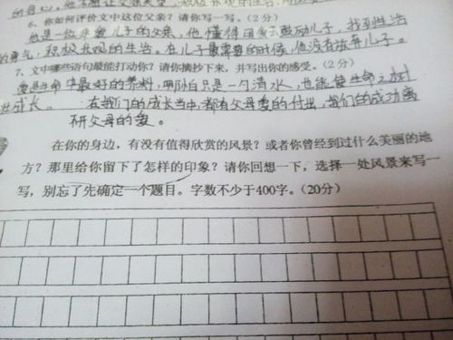 寫景作文400字我的校園