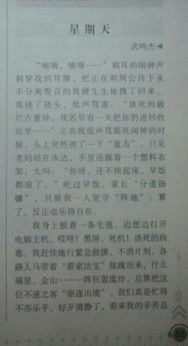 我的樂園是校園作文300字