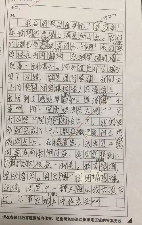 小學三年級作文我們的校園,我們的校園三年級上冊作文,我們的校園作文300字三年級作文怎么寫