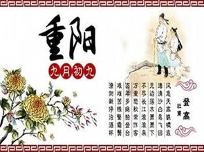 作文有趣校園節(jié)日活動方案
