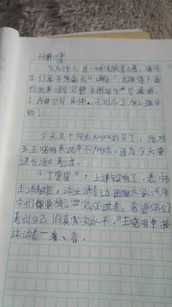 誠信教育進(jìn)校園作文1000字