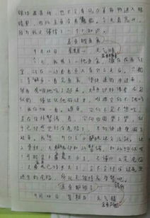 觀察校園魚塘作文350字