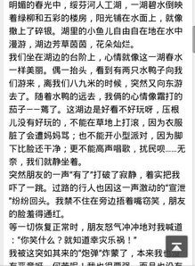 寫總分總寫校園的作文