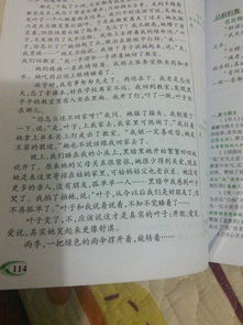校園晨曲作文600字,校園晨曲作文800字,校園晨曲作文小標題