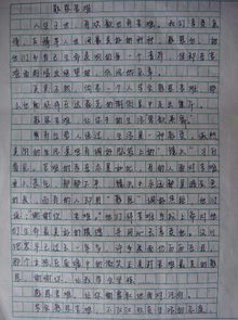 作文,更美好,運動,校園