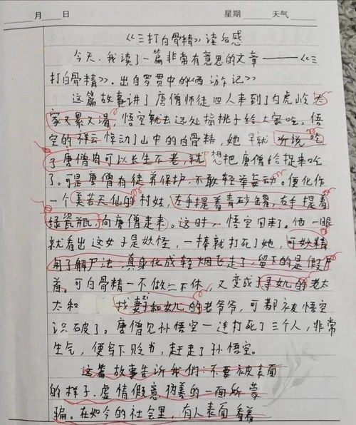 校園趣事作文樂(lè)樂(lè)課堂