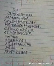 關(guān)于校園網(wǎng)絡(luò)安全的作文600字